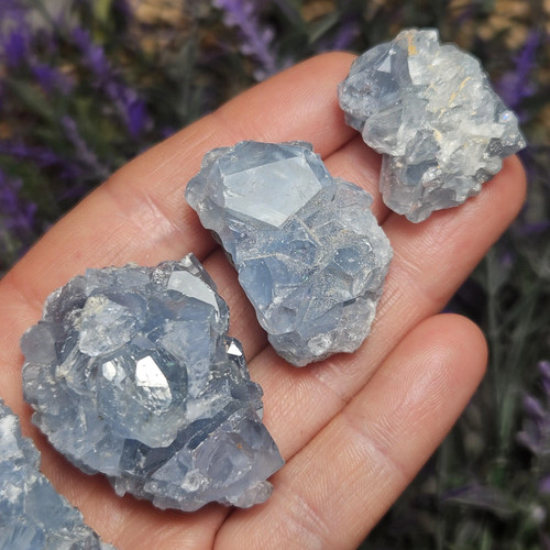 Celestite cluster - celestite,